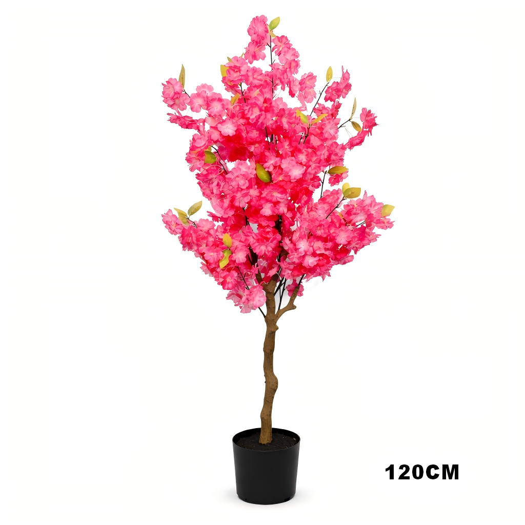 Cherry Blossom Tree(Red）2.0